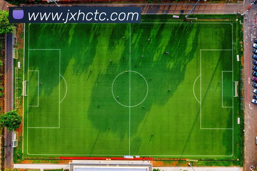 App Interface Preview